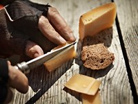 Alla ricerca di risposte alla scarsità di risorse