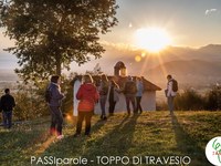 Lehrreiche Spaziergänge