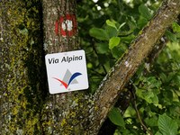 Entdeckungsreise entlang der Via Alpina