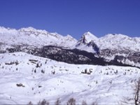 Appell der NGOs für den Triglav-Nationalpark