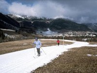 Der Skifahrer - eine aussterbende Spezies?