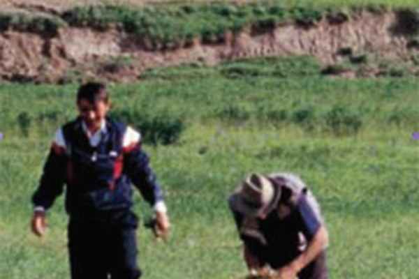 Internationaler Tag der Berge zum Thema Biodiversität