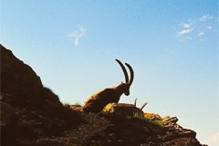 Grossschutzgebiete im touristischen Trend