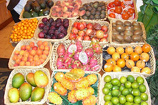 Tropenhaus dank Bergwasser