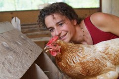 "Gesundheitscheck" der gemeinsamen Agrarpolitik GAP