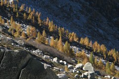 Auswirkungen des Klimawandels auf Österreich