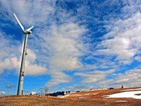 Slowenien: Windenergienutzung und Vogelschutz