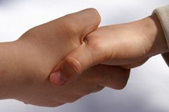 Alpe Adria forciert alternative Energien über Grenzen