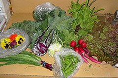 Bioprodukte: grosse Nachfrage - ungenügendes regionales Angebot