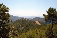 Neuregelung der öffentlichen Körperschaften in Italien birgt Risiko für Nationalparks