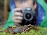 Biodiversitäts-Wettbewerbe für Fotografinnen und Bauern