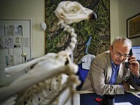 Vernetzt! Ökologisches Kontinuum und Econnect