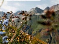 Ein Netzwerk für Fuchs, Mensch und Edelweiss