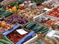 Umweltforum Vorarlberg 2010