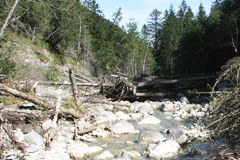 Ökostrom für Liechtenstein