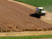 Klimawandel: Herausforderungen für die Landwirtschaft im Alpenraum