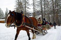 Mit Sonnenenergie und Pferdestärke ins Skigebiet