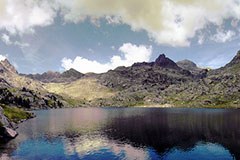 Schutzgebiete rücken enger zusammen