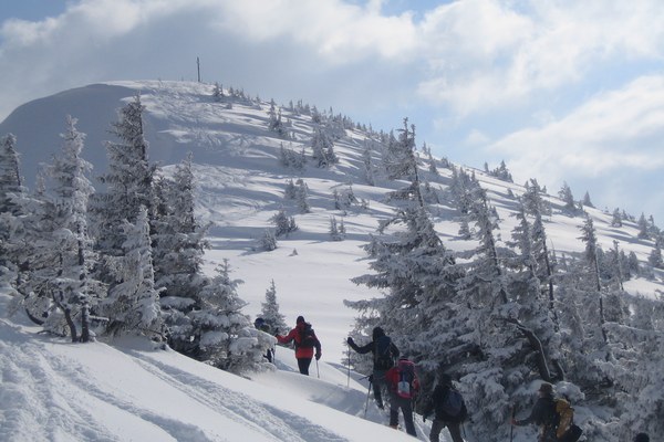 Auf die Hörner genommen
