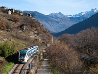 Bewirtschaften oder abserbeln lassen?