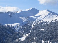 «Der Tourismus kannibalisiert sich selbst»