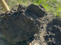 EU will gesunde Böden bis 2050