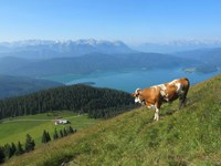 Fataler Paradigmenwechsel in der bayerischen Landesplanung