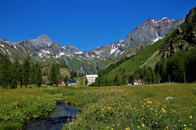 Kleine Initiativen, grosse Wirkung