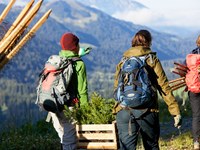 Klimakrise: Lösungen aus der Natur