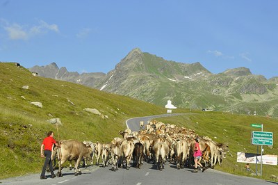 Mehr Sommerferien dank Klimawandel