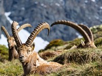 Nachhaltiger Tourismus von unten