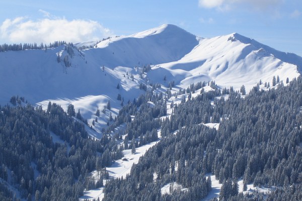 Rechtsgutachten belegt die Unwirksamkeit der Gemeinderatsbeschlüsse zur Skierschließung am Riedberger Horn
