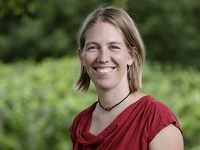 Standpunkt: Überprüfung mit Nebeneffekten