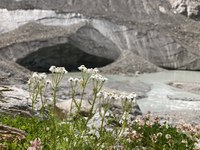 Zuversicht trotz eisfreier Zukunft