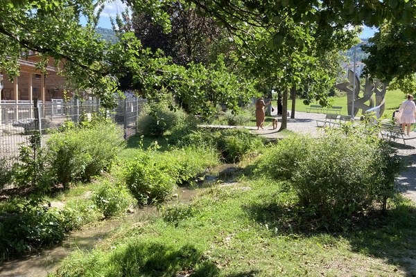 Naturbasierte Lösungen und ihre Governance-Strukturen im Alpenraum