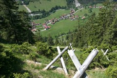 Stürmische Zeiten im Bergwald. Ein Hintergrundbericht