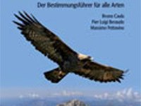 Vögel der Alpen
