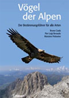 Vögel der Alpen