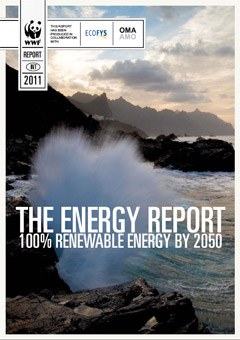 The energy report