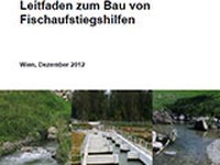 Leitfaden zum Bau von Fischaufstiegshilfen