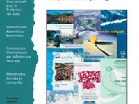 CIPRA Info 56: Der Verkehr wächst schneller als das Bewusstsein