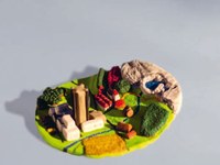 SzeneAlpen Nr. 101 - Raum ist endlich