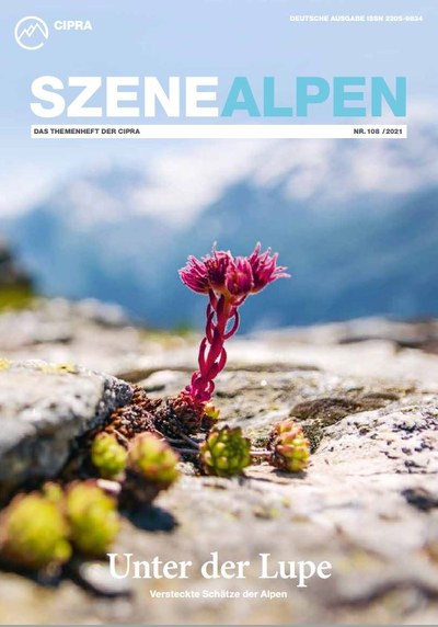 SzeneAlpen Nr. 108 - «Unter der Lupe»