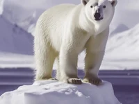 Klimakommunikation und Wirksamkeit