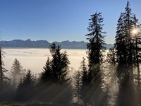 Posizione sul paesaggio