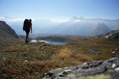 Voices along the Via Alpina – film and panel discussion