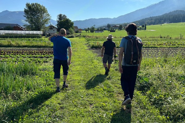 Paths to sustainable agriculture