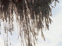 Project launch: Study of persistent organic pollutants in the Alps