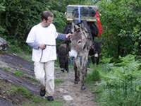 Preserving traditional crops and livestock breeds