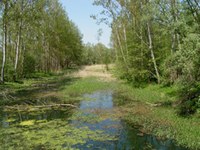 Slovenia: plans for a series of hydraulic power plants